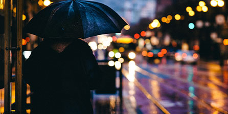 蒙特雷球迷现场助威，激发球队夺冠斗志